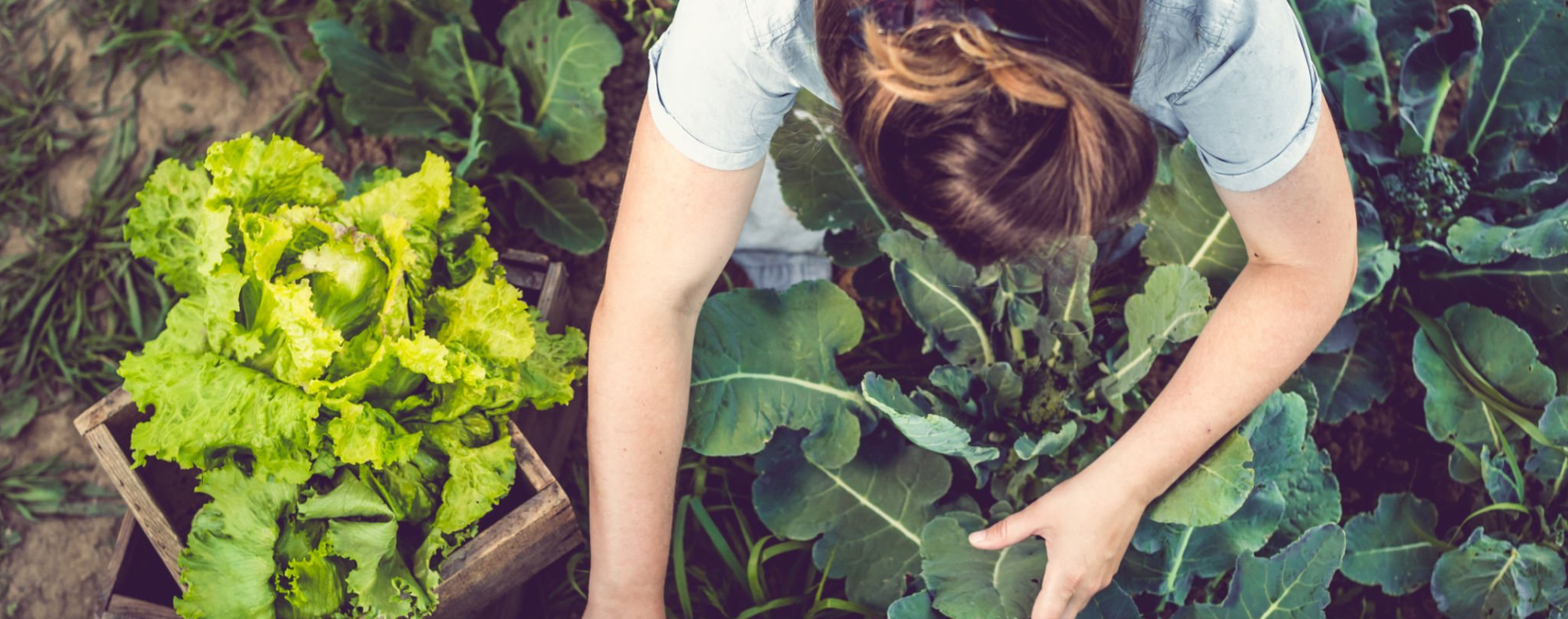 7 Tipps, um Naturkosmetik in der Nähe zu entdecken