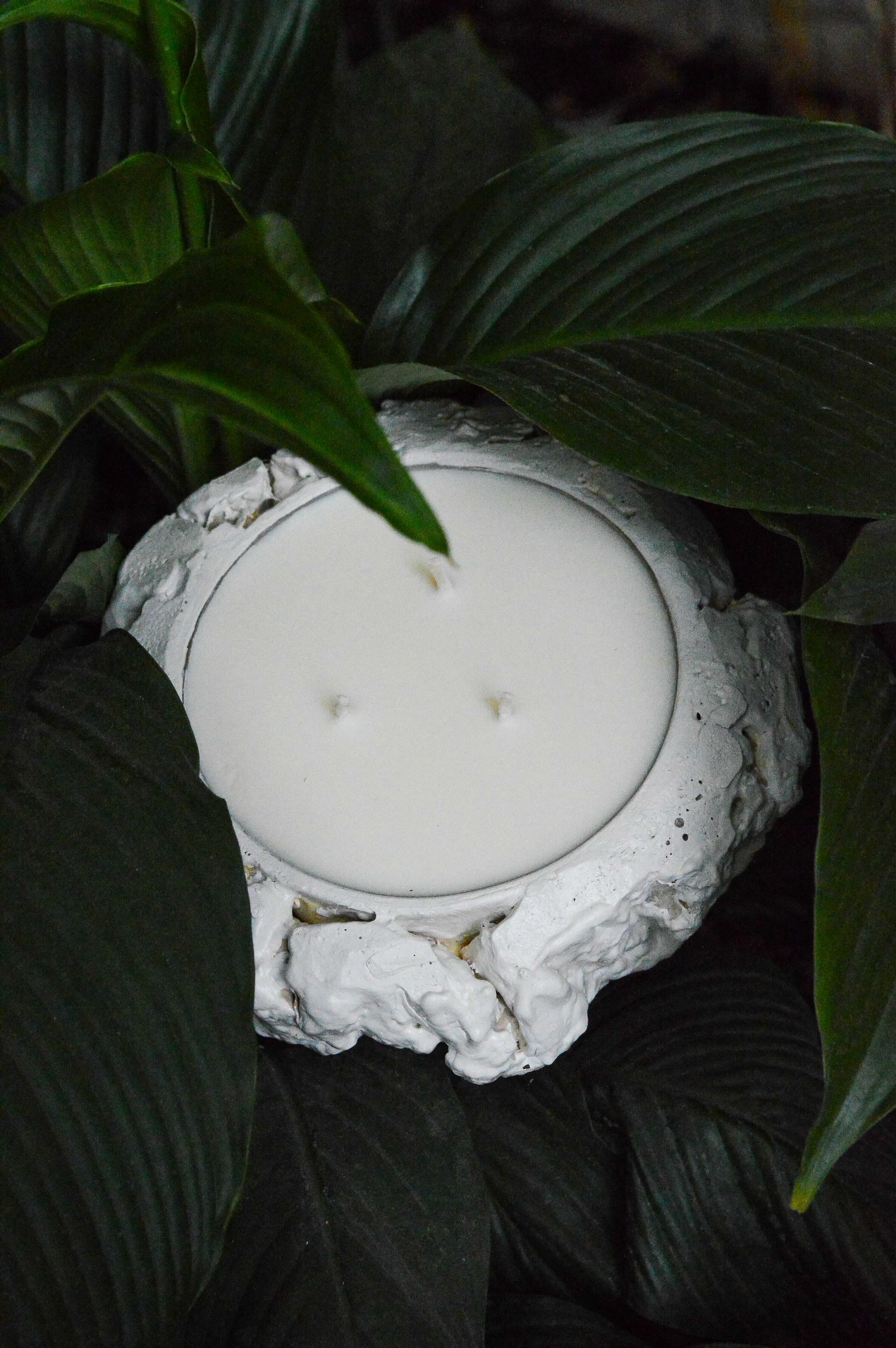 White three-wick candle in textured white ceramic holder surrounded by green leaves.