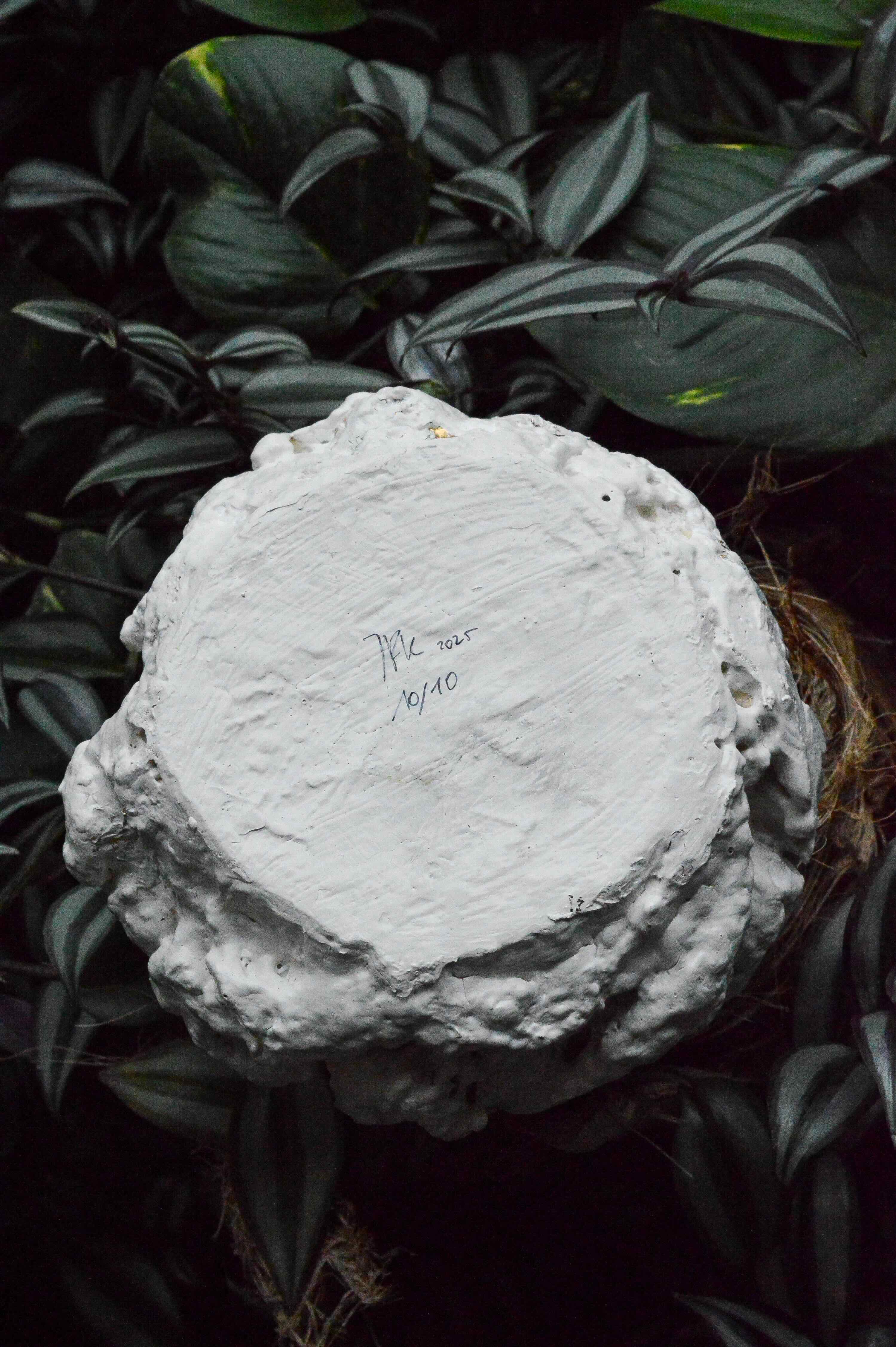 White textured ceramic bowl with rough, uneven edges on dark green leaves background.