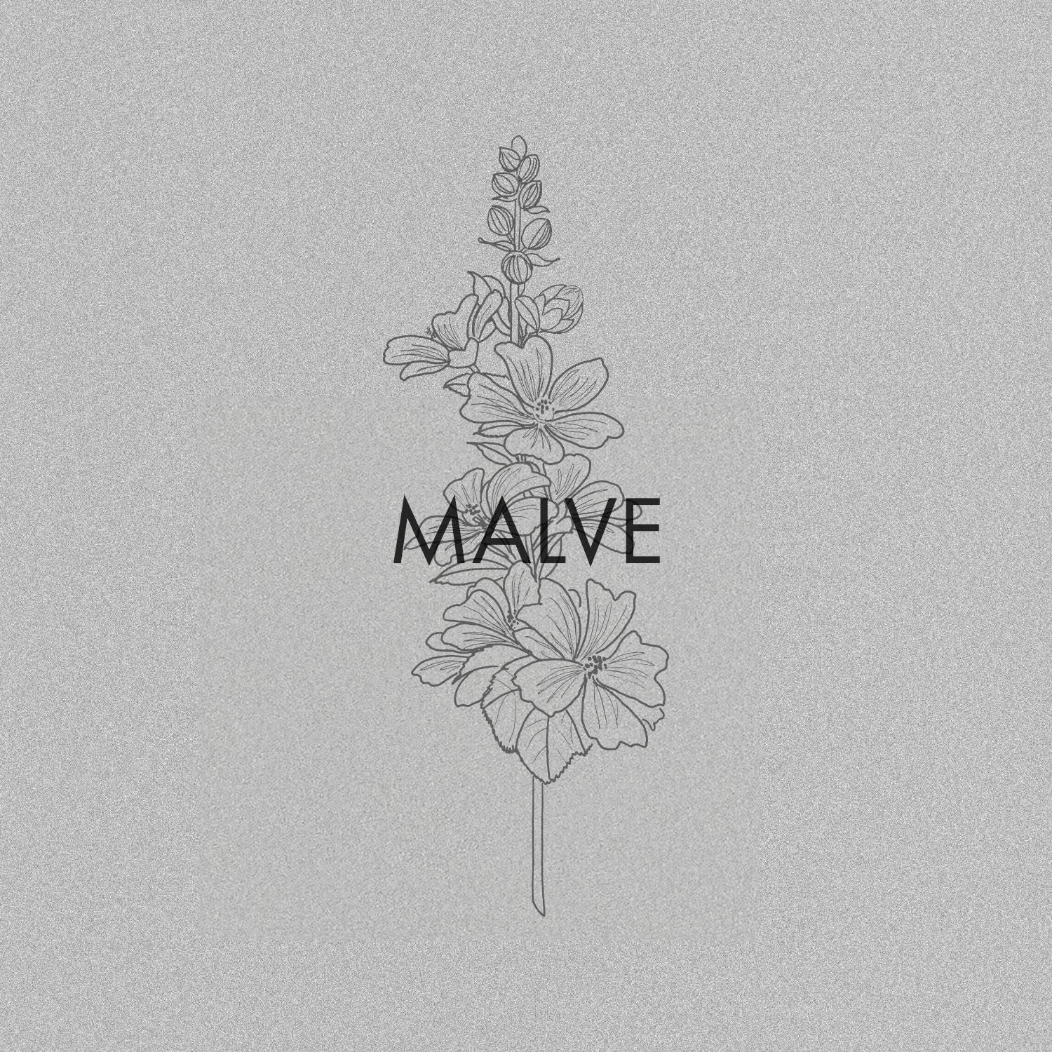 Malve