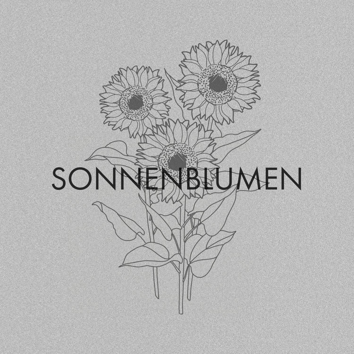 Sonnenblumen