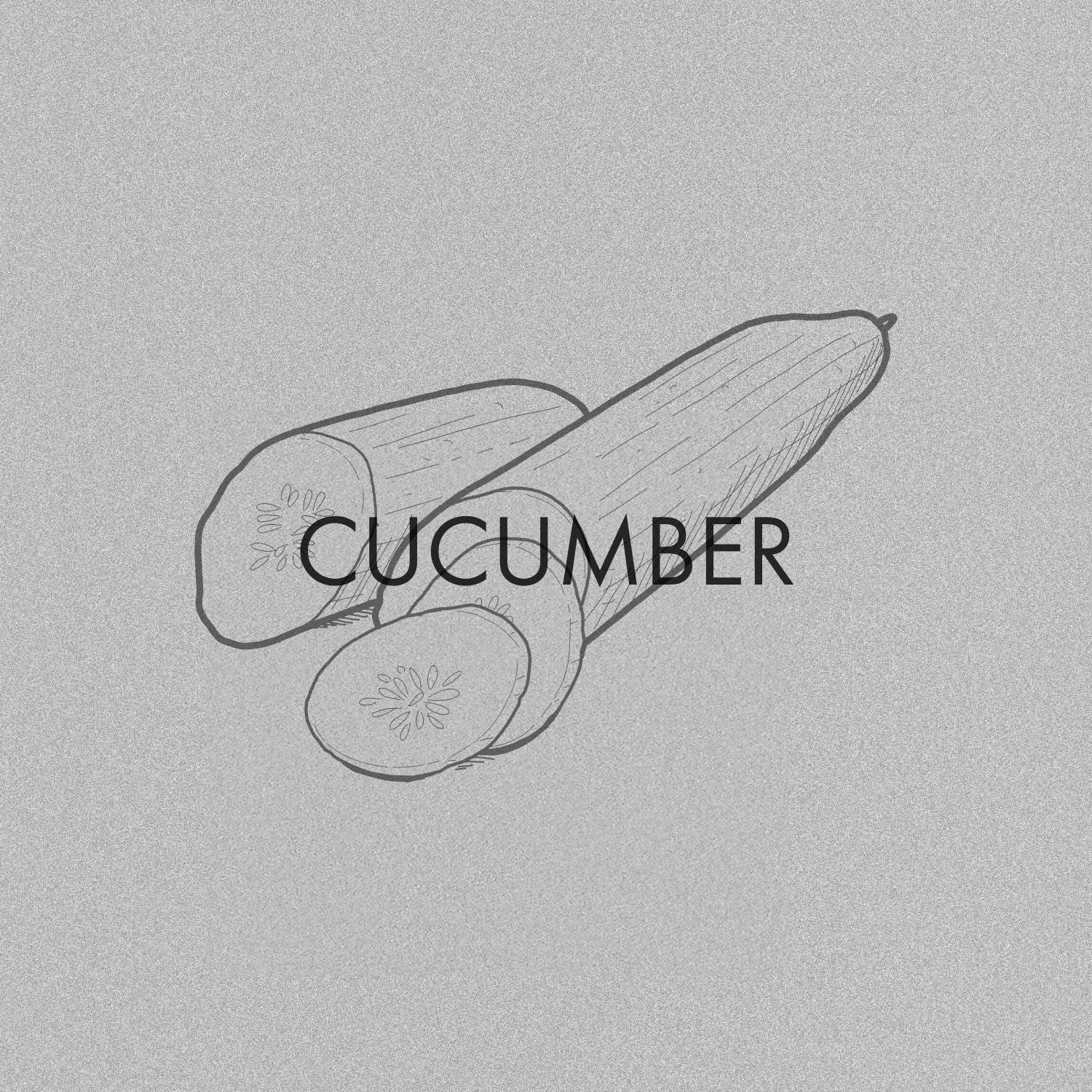 Cucumber
