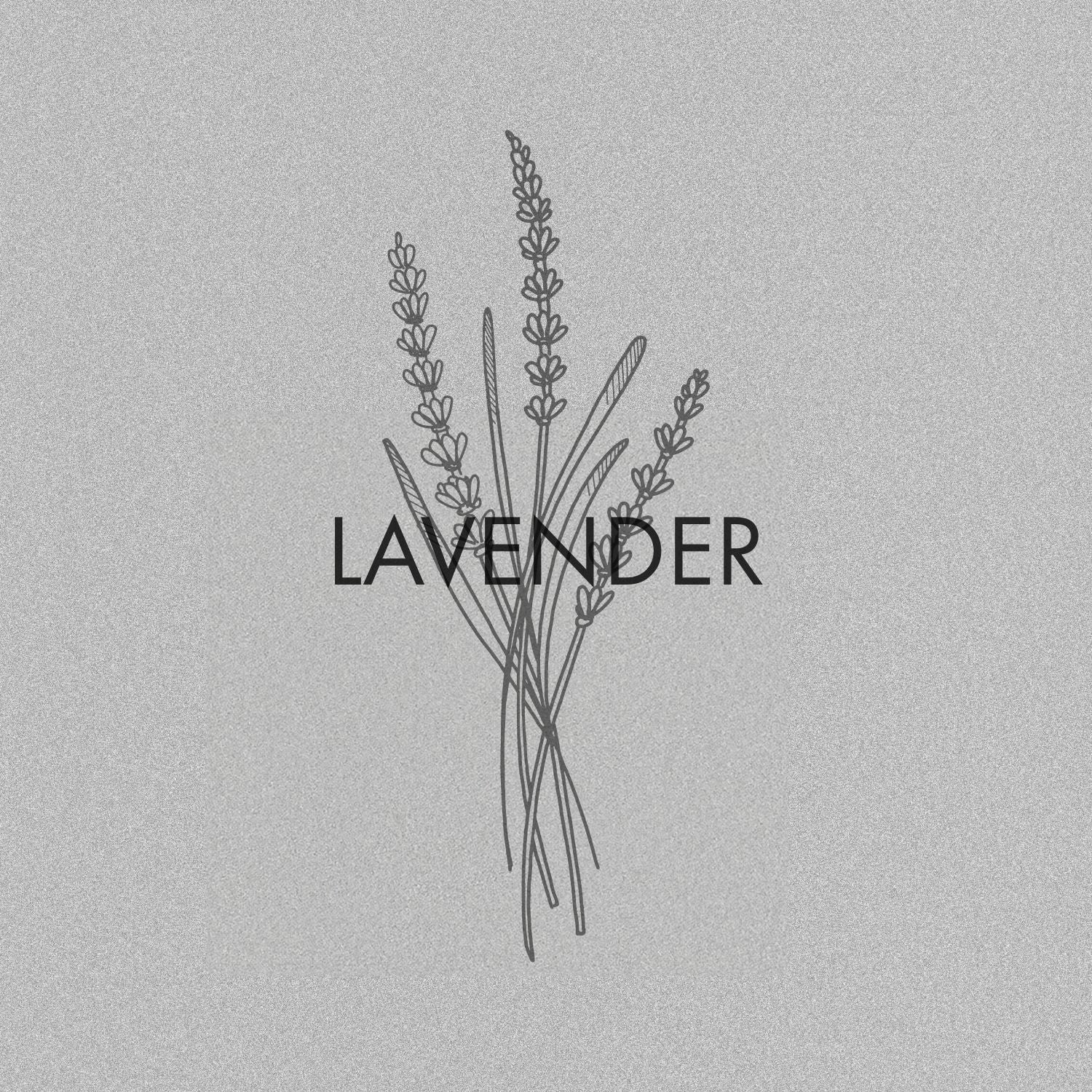 Lavendel