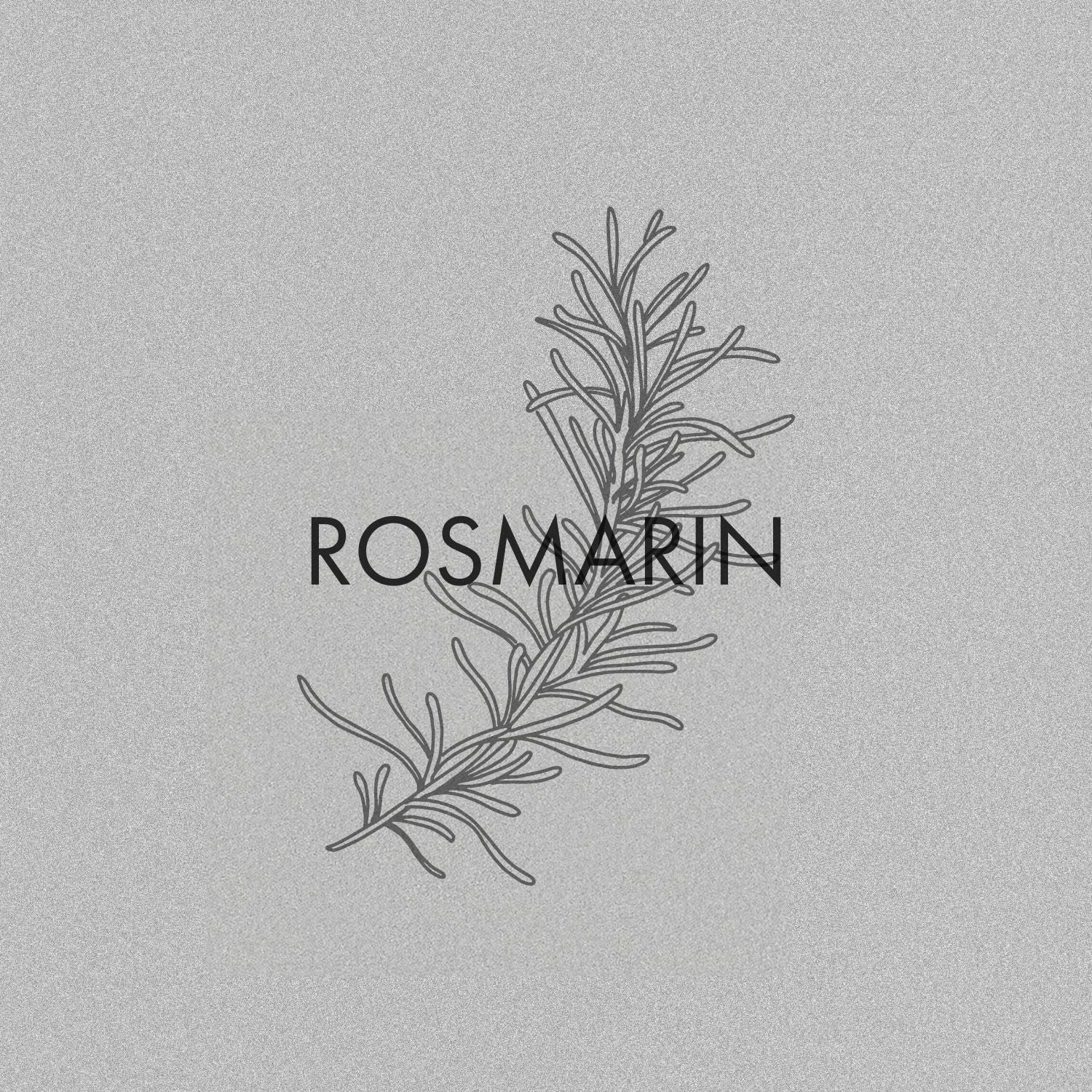 Rosmarin