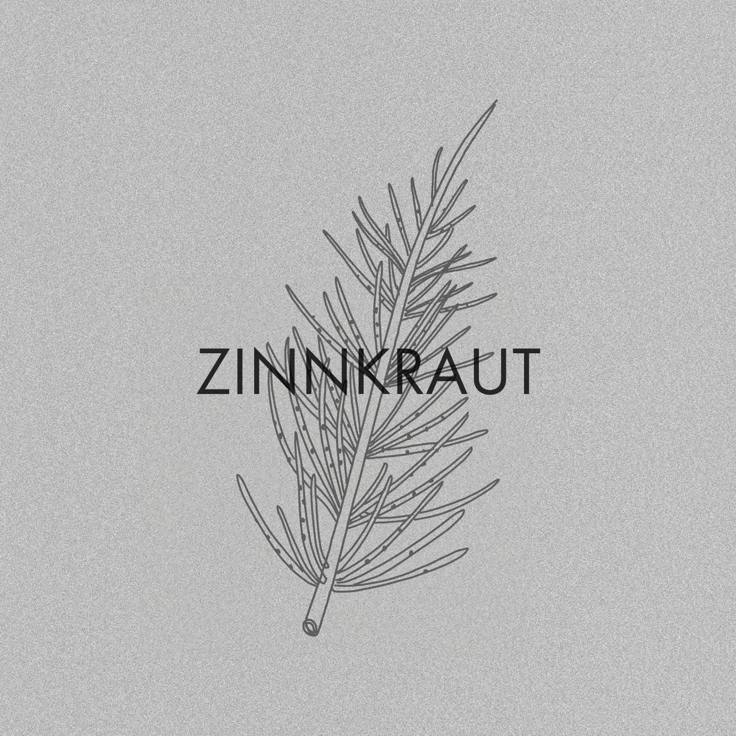 Zinnkraut