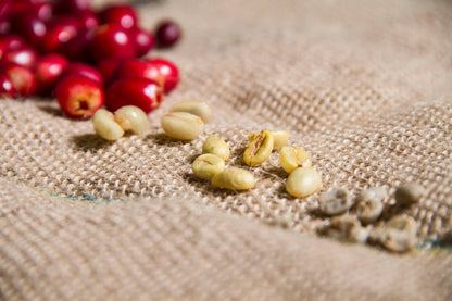 Kaffeewunder Kaffee Nr.02 (100% Arabica Bohnen / Medium Roast / 500g)