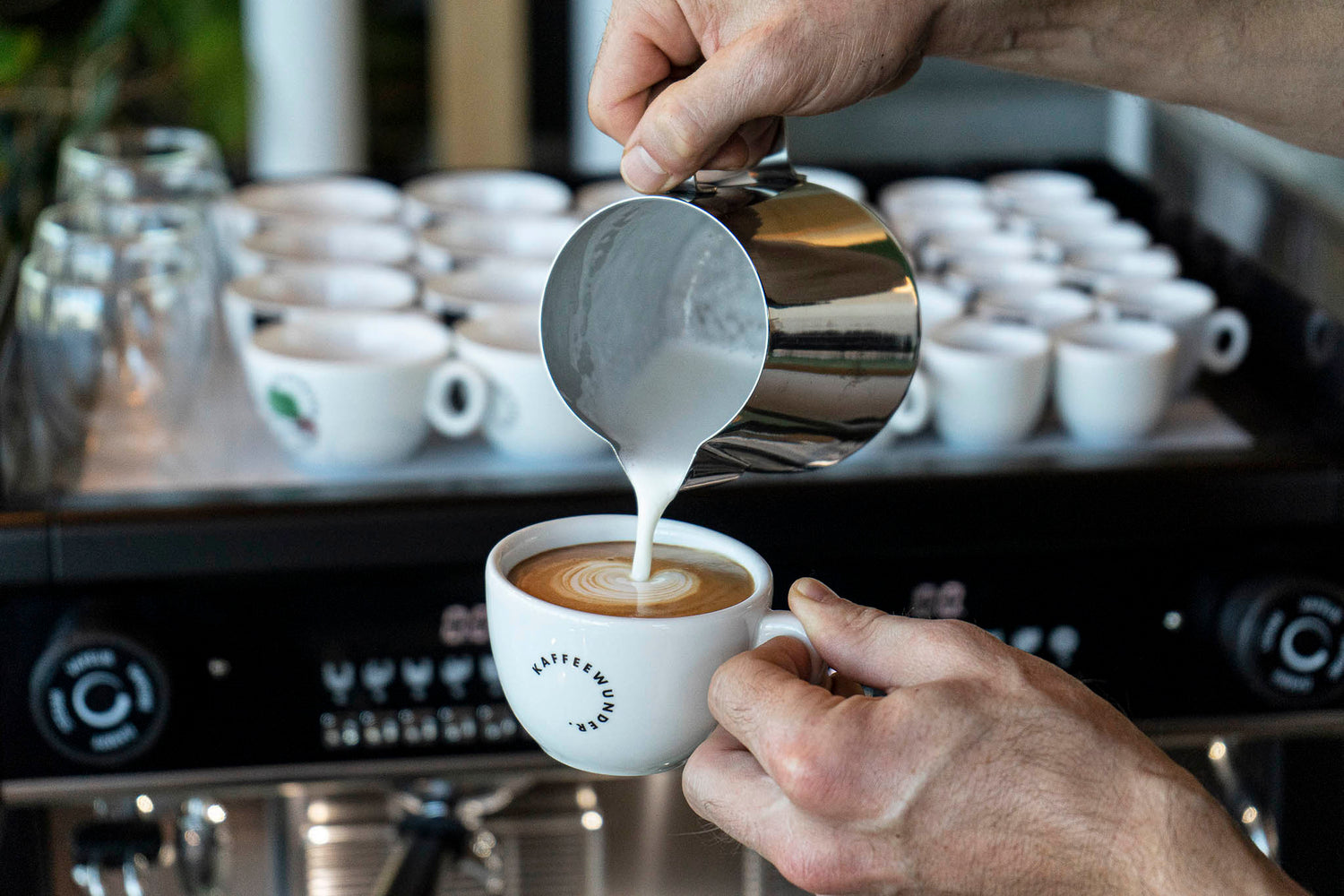 Kaffeewunder Kaffee Nr.02 (100% Arabica Bohnen / Medium Roast / 500g)